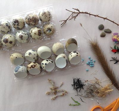 Quail Egg Ornaments
