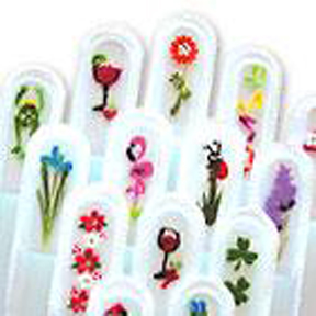 Parrot Handpainted Nail File Set