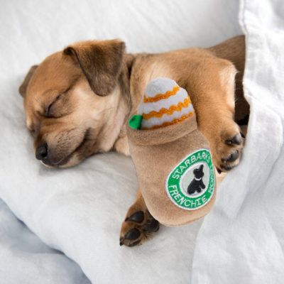 Starbarks Frenchie Roast Plush Toy