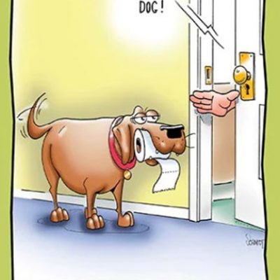 Lavatory Retriever Birthday Card