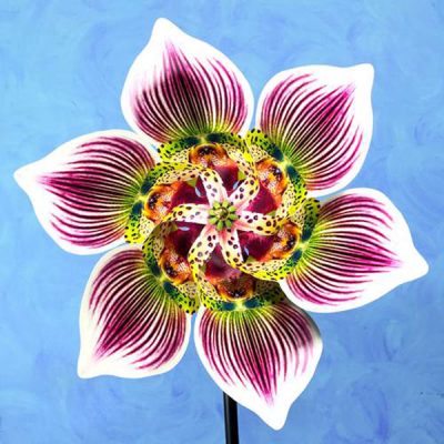 Lady Slipper Orchid Pinwheel